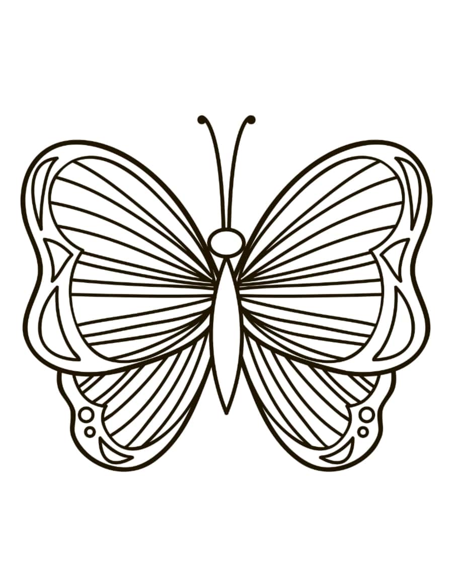 Butterfly Simple Pattern To Color Stripes Kids Coloring Pages Pdf Free Vectors